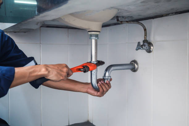 Best Best Plumbers Near Me  in Indian Lake, MO