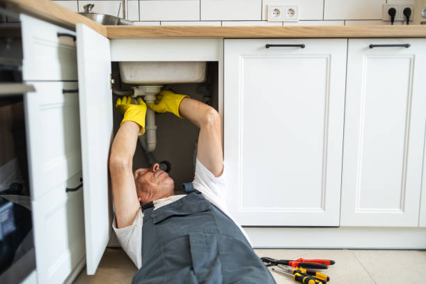Best Shower Repair Services  in Indian Lake, MO