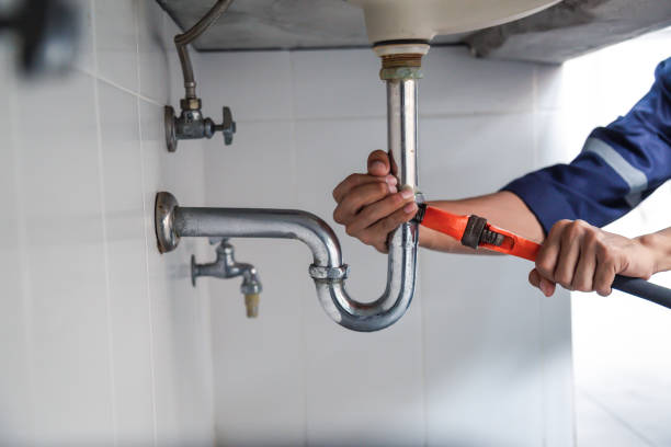 Best Plumbing Services Near Me  in Indian Lake, MO