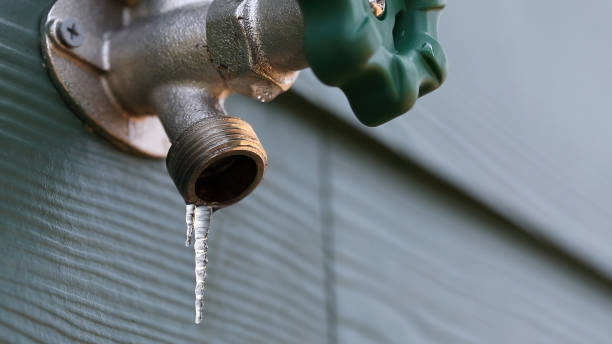 Best Leak Detection Services  in Indian Lake, MO